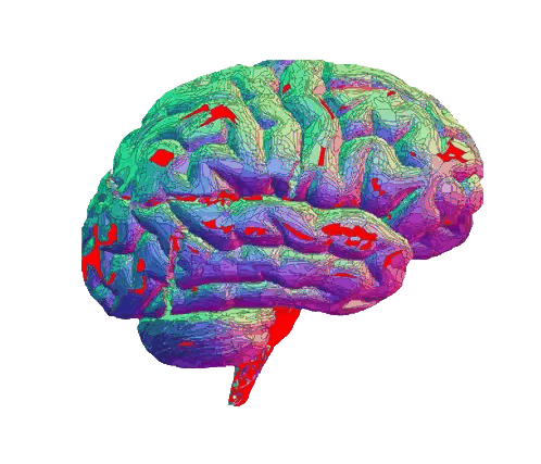 Colorful Human Brain Drawing Sticker