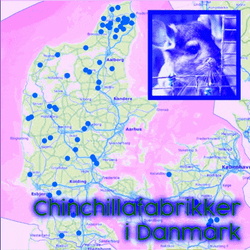 Colorful Map Showing Chinchilla Factories GIF