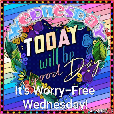 Colorful Sign Saying Today Will Be Good GIF