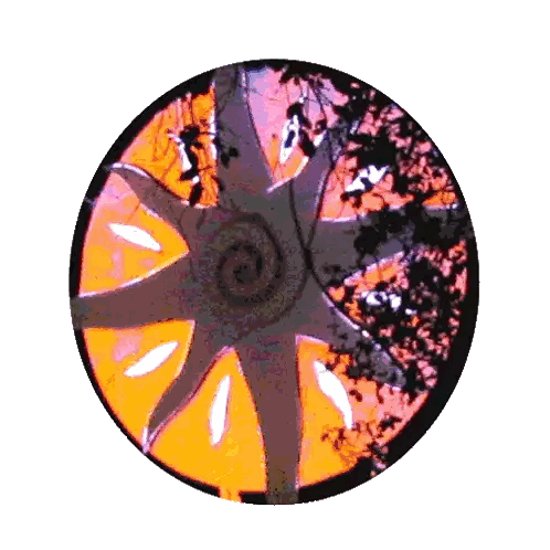 Colorful Swirling Circle Sticker