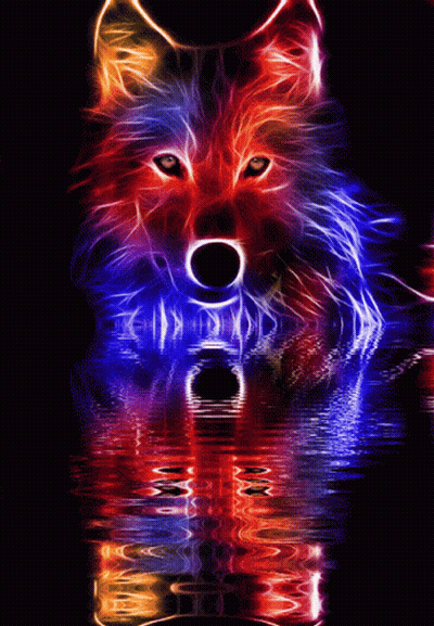 Colorful Wolf Reflected In Glowing Water GIF