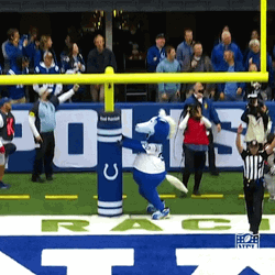 Colt Mascot Bangs Head Against Wall GIF