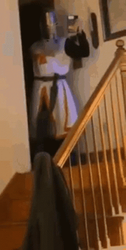 Combat Gods Starts To Attack GIF