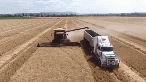 Combine Harvester Loaded Onto Semi Truck GIF