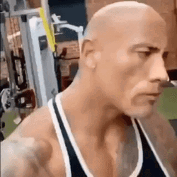 Come Again Dwayne Johnson Eyebrows Up GIF