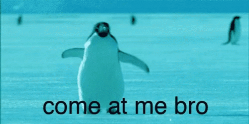 Come At Me Bro Strolling Penguin GIF