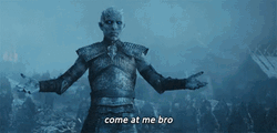 Come At Me Bro Winter Is Coming GIF