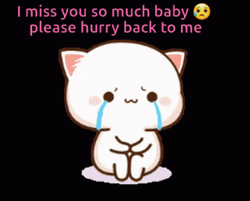 Come Back I Miss You So Much Peach Cat GIF