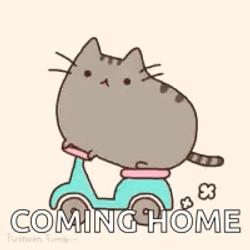 Come Back Pusheen Travel Coming Home GIF