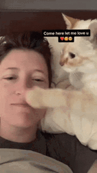 Come Here Cat Snuggle Cuddle GIF