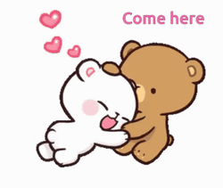 Come Here Cute Bear Couple GIF