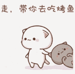 Come Here Drag Cute Cat Stickers GIF