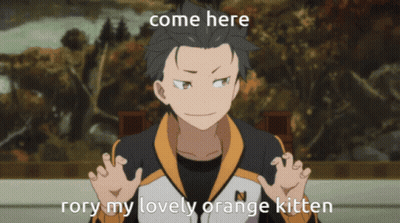 Come Here Rory My Lovely Orange Kitten GIF