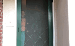 Come Inside The House Open Door GIF