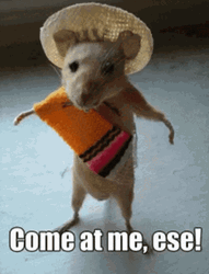 Come See Me Samba Mouse GIF