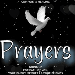 Comfort And Healing Pray GIF