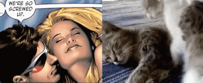 Comic Character Says We're So Screwed Up Next To Sleeping Cat GIF