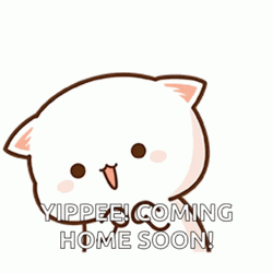 Coming Soon Excited Mochi Milk GIF