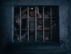 Compressed Prisoner Right To Jail  GIF