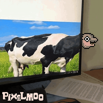 Computer Monitor With Cow Picture Pixelmoo