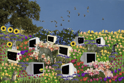 Computer Monitors In Flower Garden GIF