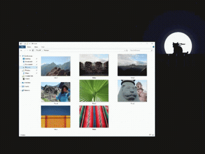 Computer Screen Showing Photo Collection GIF