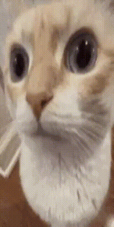 Computer Screen With Mac Installation Window GIF