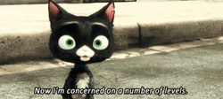 Concerned Bolt Disney Movie Mittens Black Cat GIF