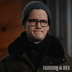 Concerned Hudson And Rex Jesse Mills  GIF