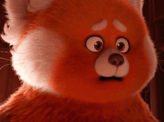 Concerned Turning Red 2022 Film Meilin Panda  GIF