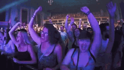 Concert Fans Crowd GIF