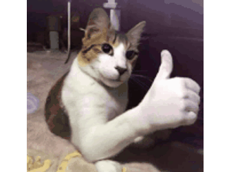 Concholike2008 Sticker GIF