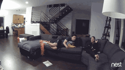 Concussion Got Shock GIF