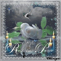 Condolence Love Rest In Peace Dove GIF