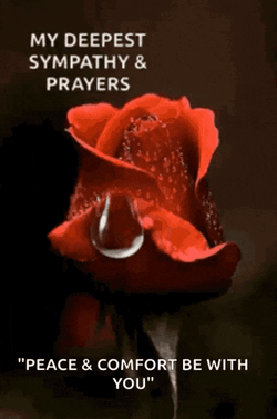 Condolences Sympathy GIF