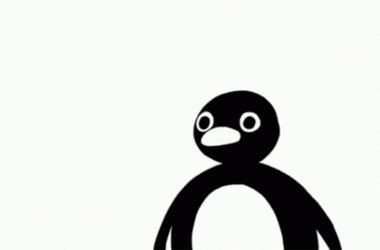 Confused And Shocked Noot Noot GIF