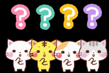 Confused Animated Cats Tilting Head GIF