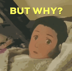 Confused Anime Girl Asking But Why GIF