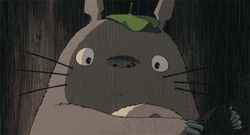 Confused Anime Totoro GIF