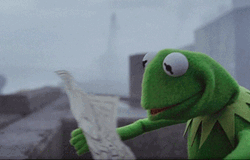 Confused Kermit The Frog Map GIF