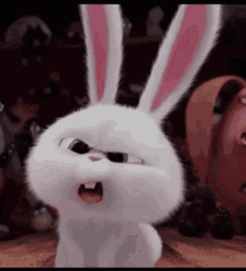 Confused Look Fluffy Bunny GIF