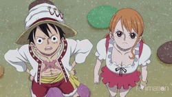 Confused Nami And Luffy One Piece GIF