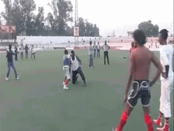 Congo Catch Fight Backflip Enfant Loup GIF