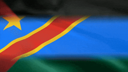 Congo Dcr GIF