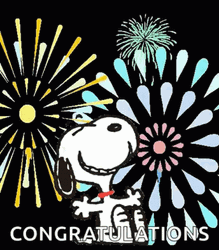 Congrats Snoopy Fireworks Meme GIF