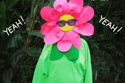 Congratulation Flexing Flower GIF