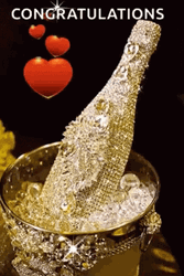 Congratulation Sparkling Champagne Bottle  GIF