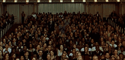 Congratulation Standing Ovation  GIF