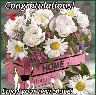 Congratulations Card With Flowers In Pink Crate GIF