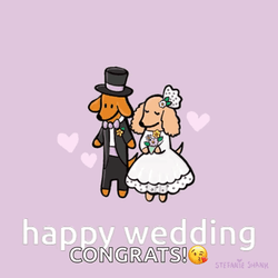 Congratulations Dog Couple Wedding GIF